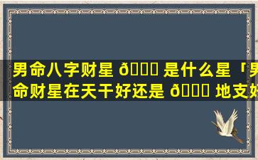 男命八字财星 🐎 是什么星「男命财星在天干好还是 🐒 地支好」